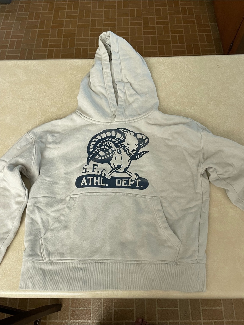 GAP White Hoodie with Navy Ram Graphic